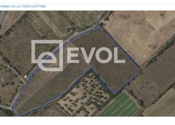 Foto 3 - Terreno agricolo SP 90
 
1, Badesi - foto 3