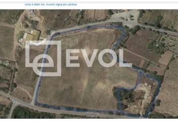 Foto 4 - Terreno agricolo SP 90
 
1, Badesi - foto 4