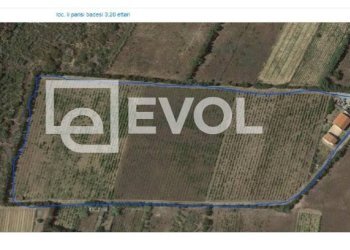 Foto 5 - Terreno agricolo SP 90
 
1, Badesi - foto 5