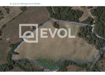 Foto 6 - Terreno agricolo SP 90
 
1, Badesi - foto 6