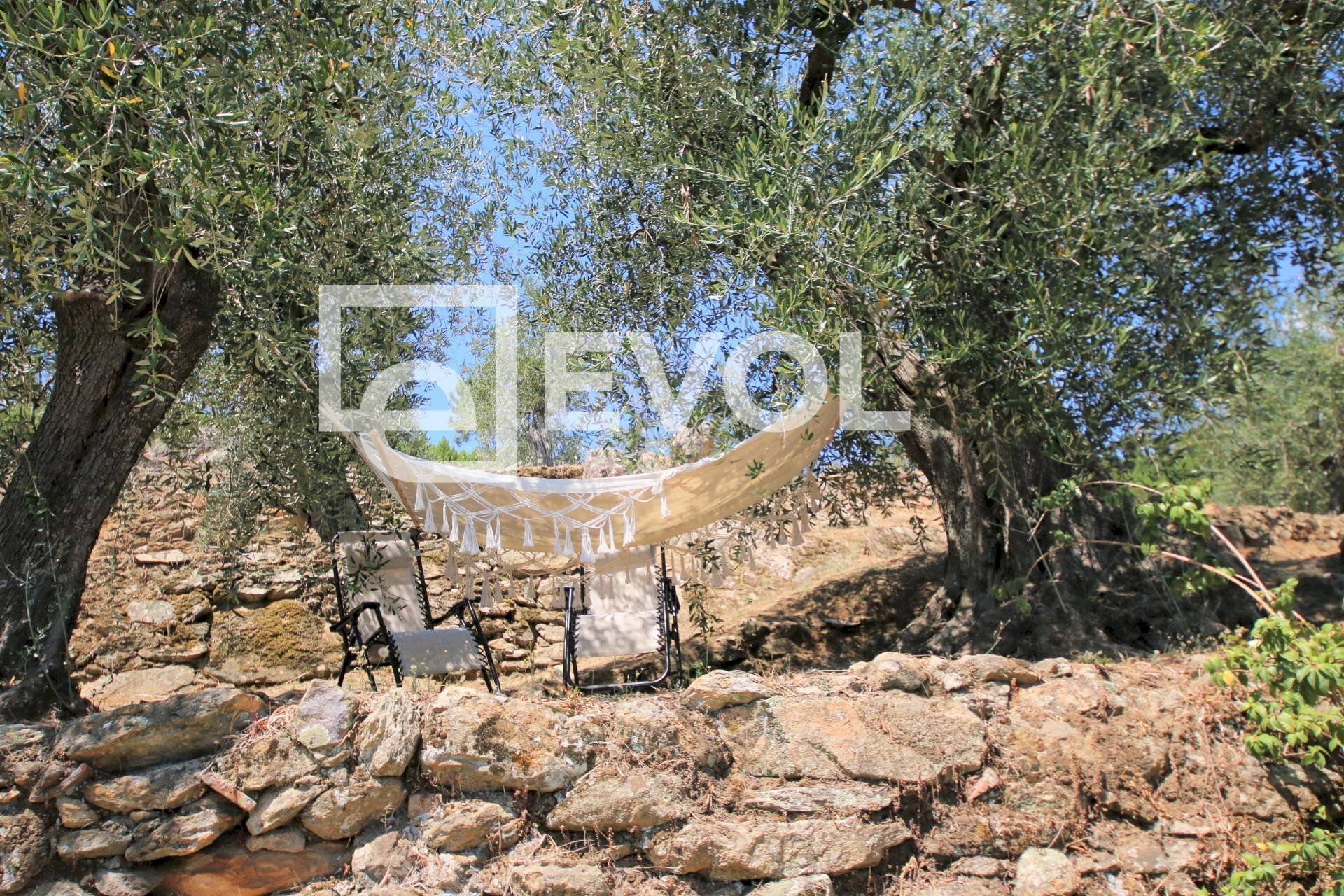 Foto 1 - Farm Pisa - photo 1