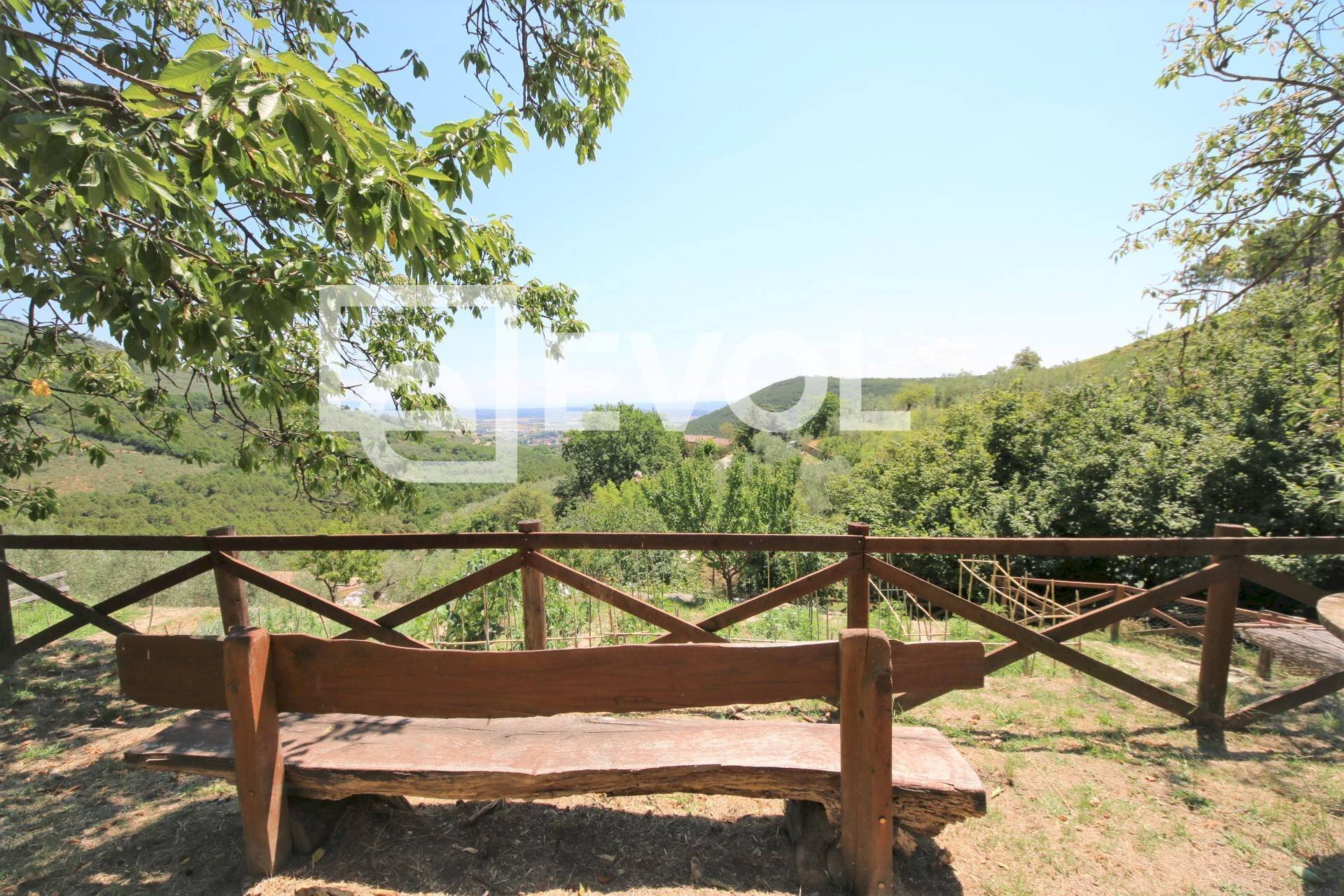 Foto 2 - Farm Pisa - photo 2