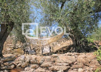 Foto 1 - Farm Pisa - photo 1