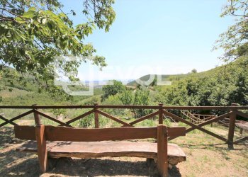 Foto 2 - Farm Pisa - photo 2