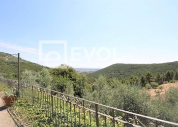 Foto 3 - Farm Pisa - photo 3