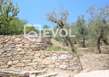 Foto 4 - Farm Pisa - photo 4