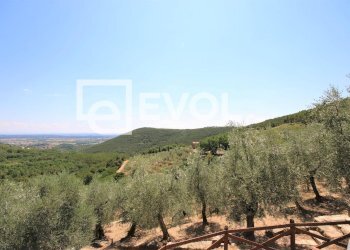 Foto 6 - Farm Pisa - photo 6