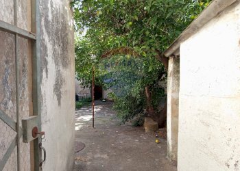 Giardino - Independent house Via Pier Giovanni Rizzo
 
31, San Pietro Vernotico - photo 13