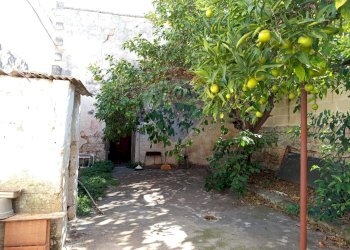 Giardino - Independent house Via Pier Giovanni Rizzo
 
31, San Pietro Vernotico - photo 14