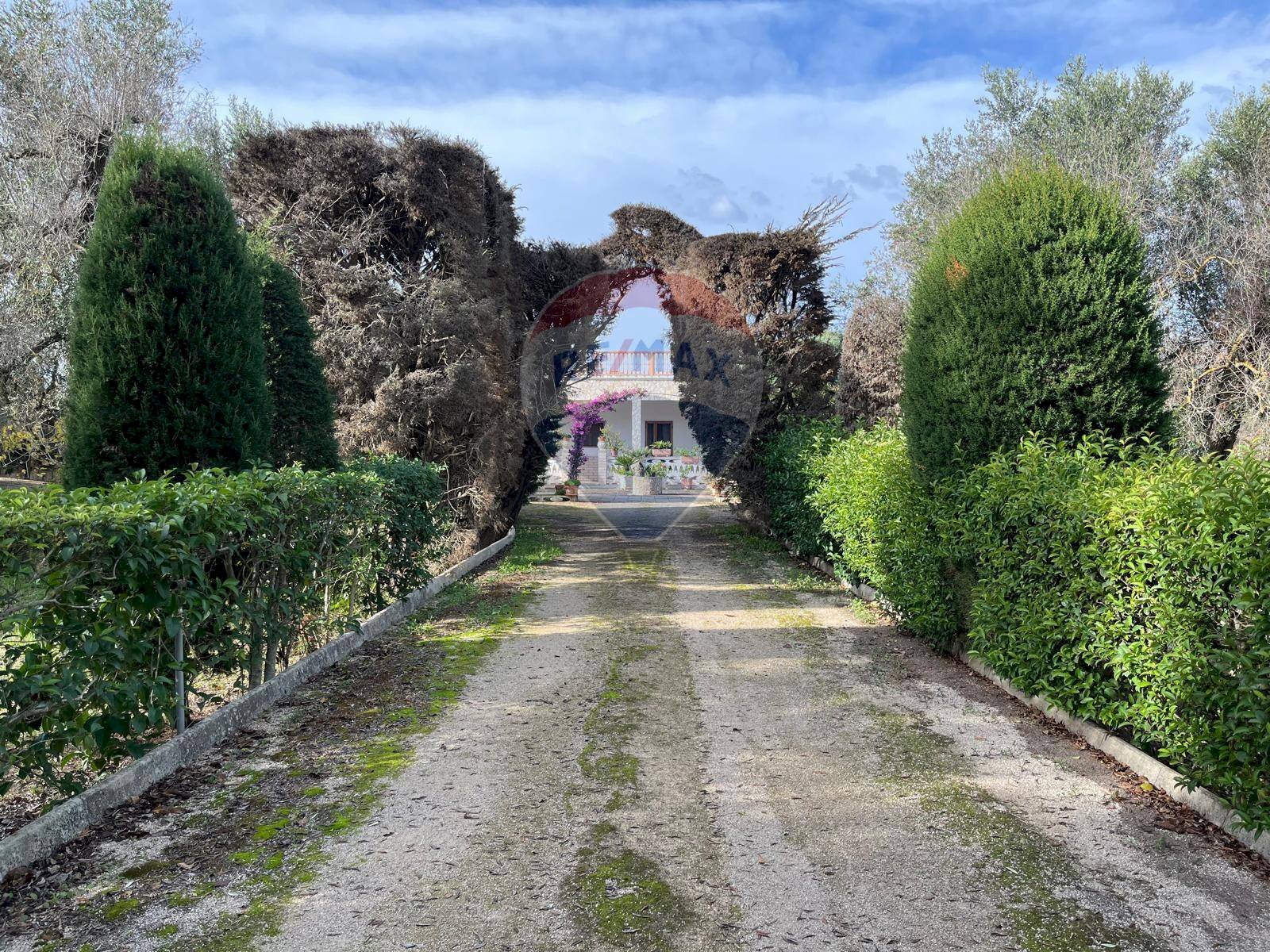 Giardino - Villa Contrada Santa Rosa Galina
 
snc, Mesagne - foto 1