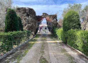 Giardino - Villa Contrada Santa Rosa Galina
 
snc, Mesagne - foto 1