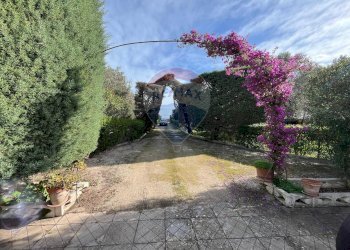 Giardino - Villa Contrada Santa Rosa Galina
 
snc, Mesagne - foto 6