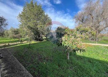 Giardino - Villa Contrada Santa Rosa Galina
 
snc, Mesagne - foto 17