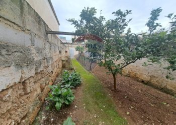 Giardino - Independent house Via Brindisi
 
60, San Vito dei Normanni - photo 16