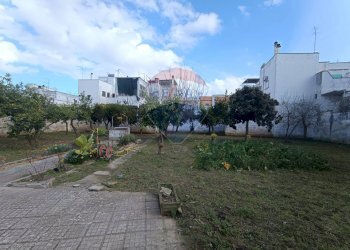 Giardino - Villa Latiano - foto 12