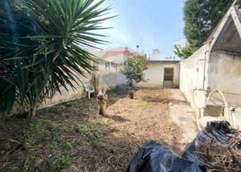 Giardino - Casa indipendente Via Borgo Antico
 
13-15, Mesagne - foto 24