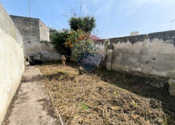 Giardino - Casa indipendente Via Borgo Antico
 
13-15, Mesagne - foto 26