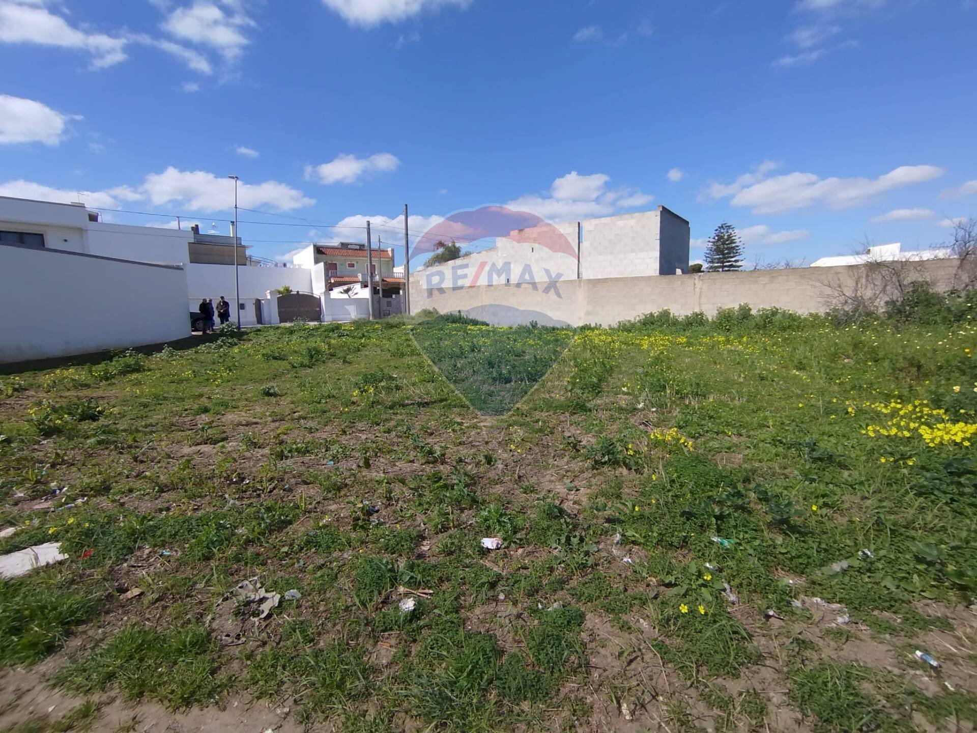 Giardino - Terreno edificabile Via Don Luigi Sturzo
 
snc, Cellino San Marco - foto 2