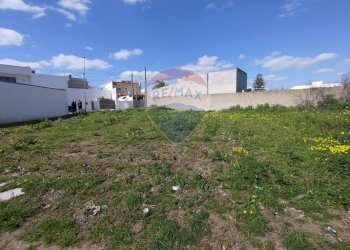 Giardino - Terreno edificabile Via Don Luigi Sturzo
 
snc, Cellino San Marco - foto 2