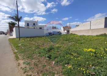 Giardino - Terreno edificabile Via Don Luigi Sturzo
 
snc, Cellino San Marco - foto 3