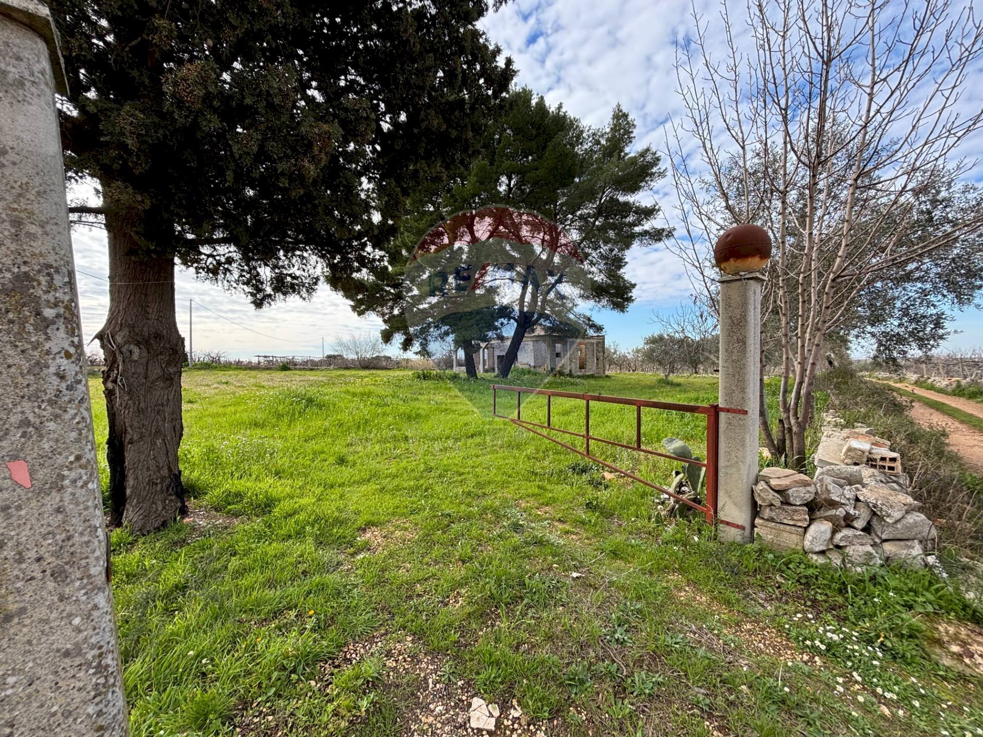 Giardino - Rustico Turi - foto 2