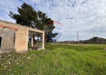 Giardino - Rustico Turi - foto 4