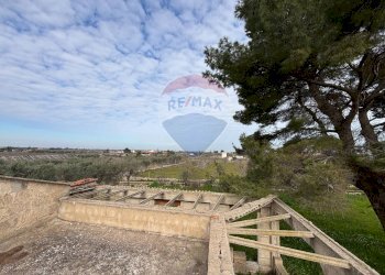 Vista delle montagne - Rustico Turi - foto 15