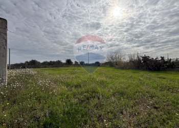 Giardino - Rustico Turi - foto 16