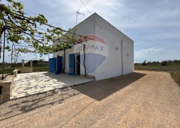 Terrazza - Villa Cutrofiano - foto 14