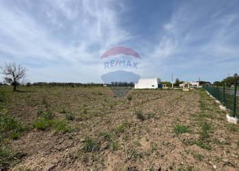 Giardino - Villa Cutrofiano - foto 19