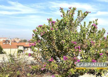 Foto 40 - Trilocale Via Bengasi
 
1/F, Desio - foto 40