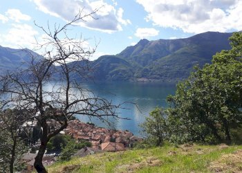 Foto 10 - Terreno edificabile VIA STRADA ALTA DI OMBRIACO, Bellano - foto 10