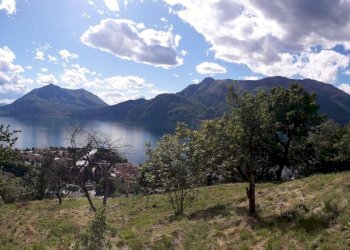 Foto 13 - Terreno edificabile VIA STRADA ALTA DI OMBRIACO, Bellano - foto 13