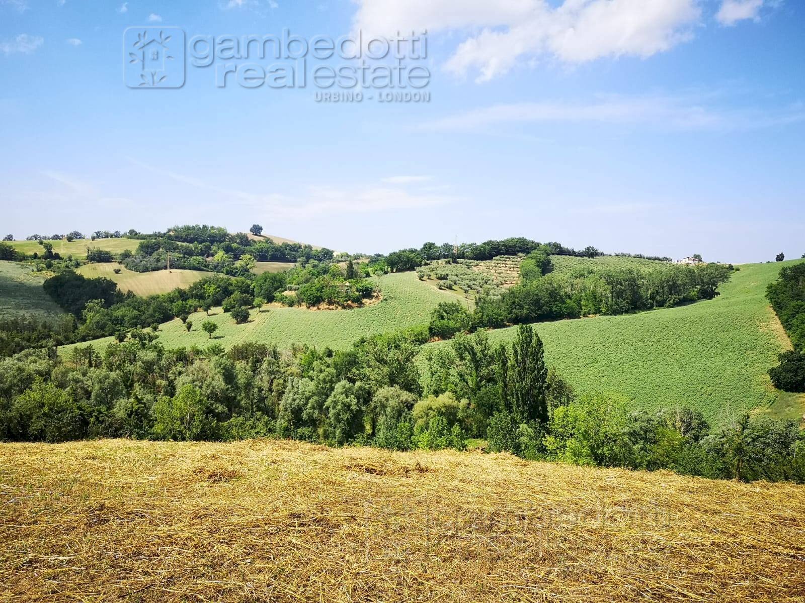 Foto 2 - Rustic Terre Roveresche - photo 2