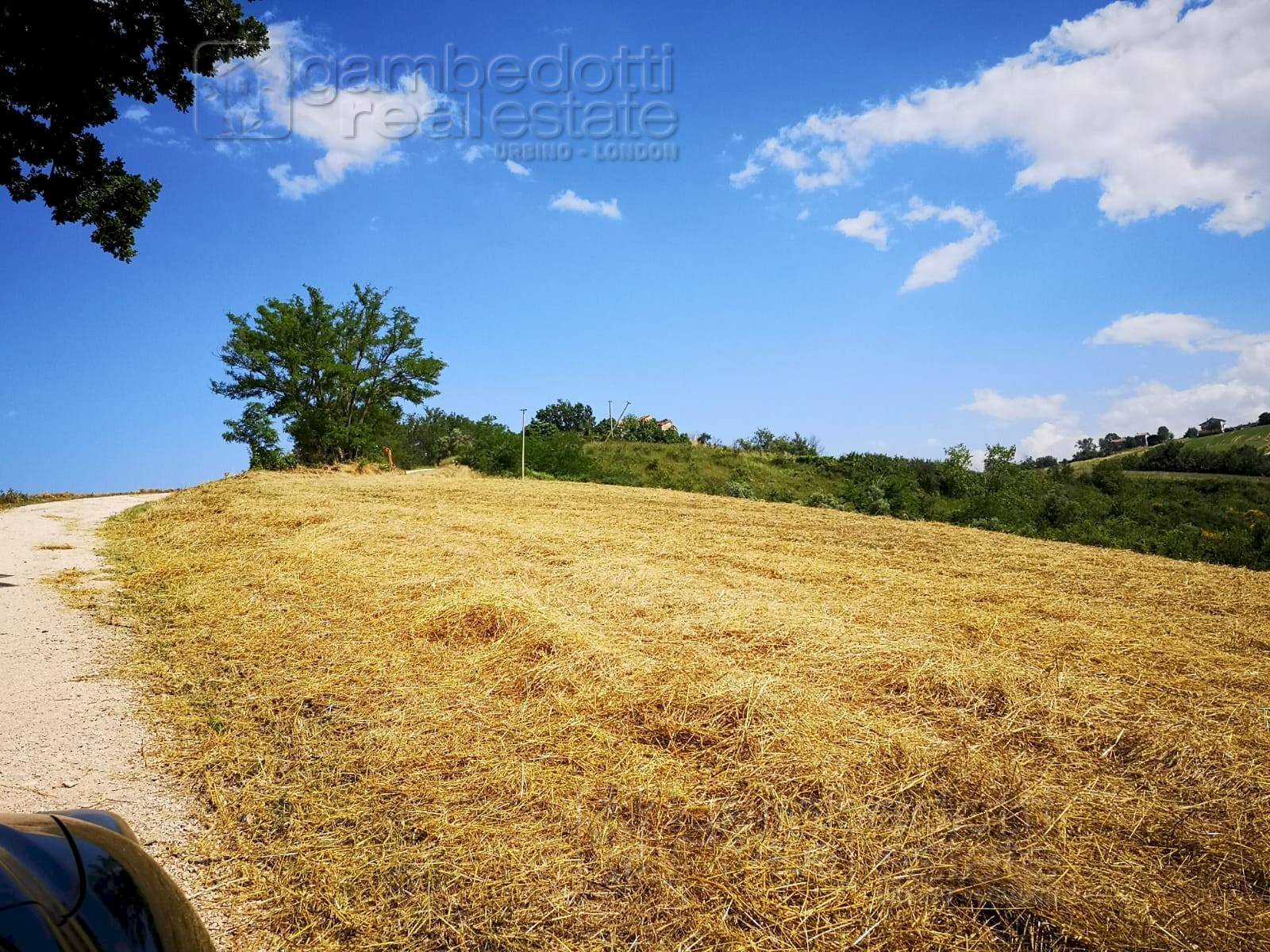 Foto 3 - Rustic Terre Roveresche - photo 3