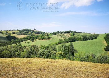 Foto 2 - Rustico Terre Roveresche - foto 2