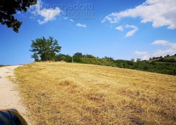 Foto 3 - Rustico Terre Roveresche - foto 3