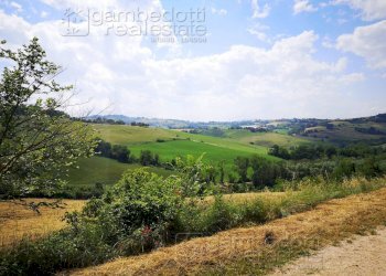 Foto 4 - Rustico Terre Roveresche - foto 4