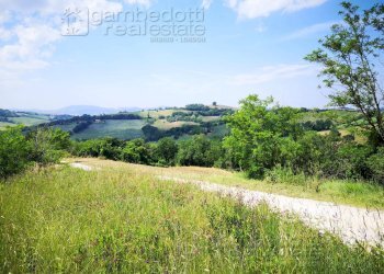 Foto 5 - Rustico Terre Roveresche - foto 5