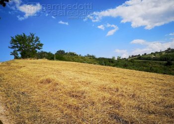 Foto 6 - Rustico Terre Roveresche - foto 6