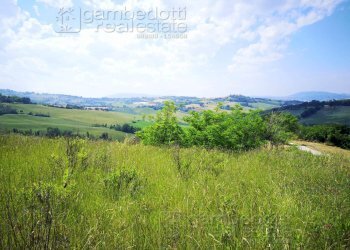 Foto 7 - Rustico Terre Roveresche - foto 7