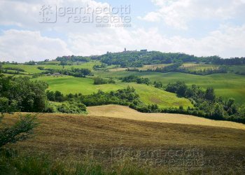 Foto 8 - Rustico Terre Roveresche - foto 8