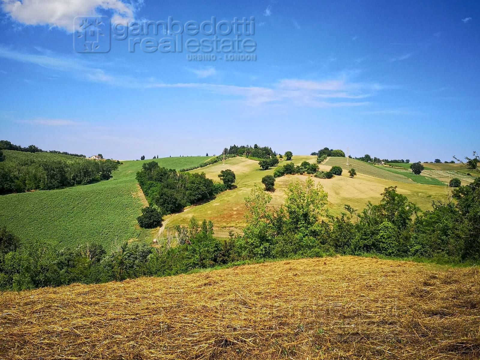 Foto 2 - Rustic Terre Roveresche - photo 2