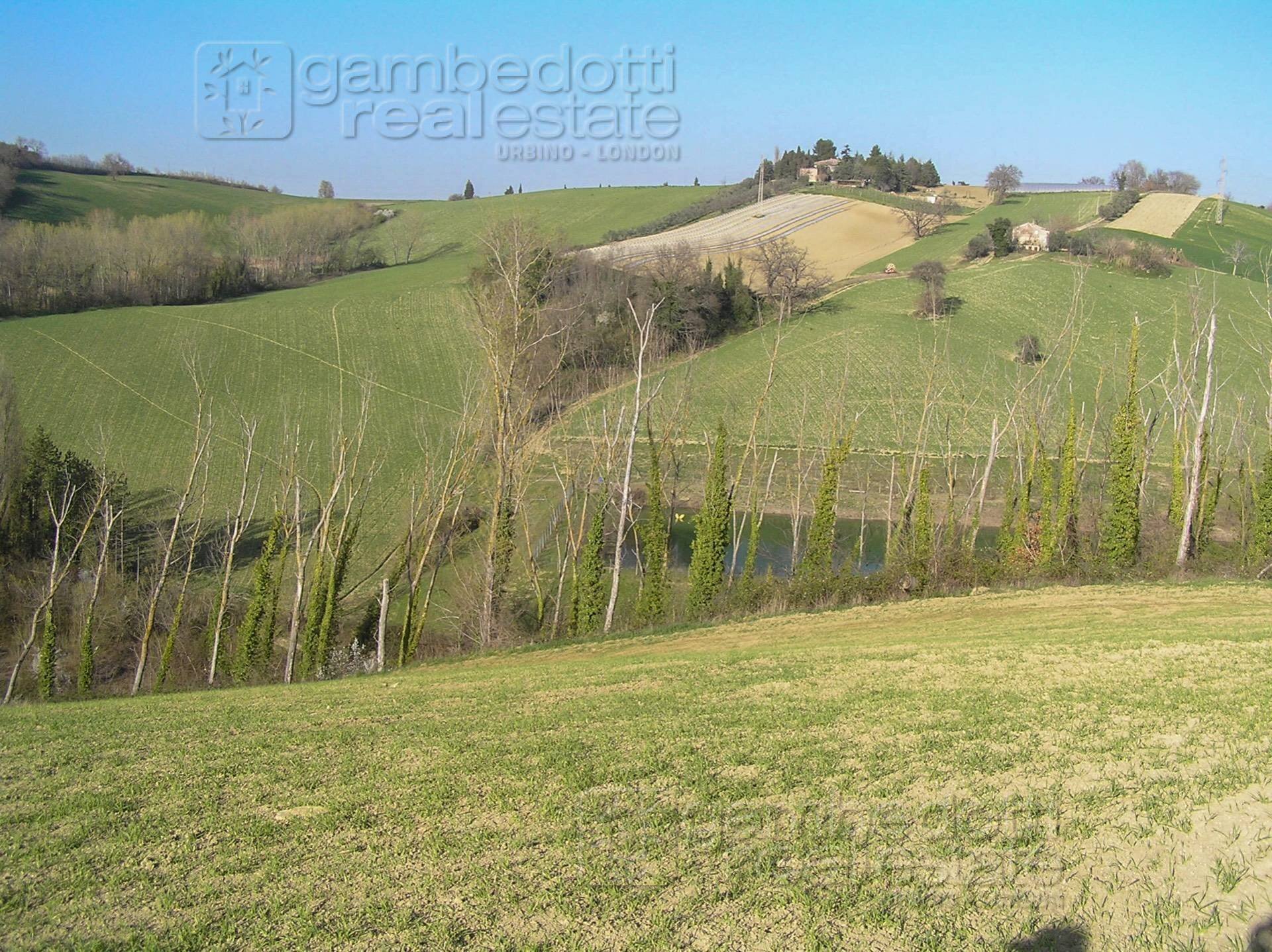 Foto 3 - Rustic Terre Roveresche - photo 3