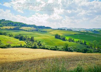 Foto 1 - Rustico Terre Roveresche - foto 1