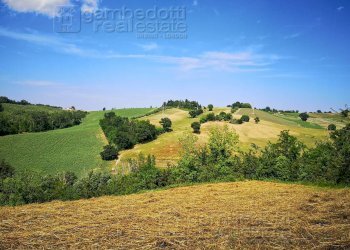 Foto 2 - Rustico Terre Roveresche - foto 2