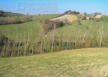 Foto 3 - Rustico Terre Roveresche - foto 3