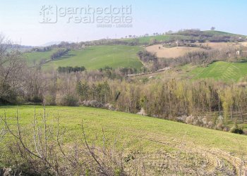 Foto 4 - Rustico Terre Roveresche - foto 4