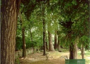 Foto 18 - Villa Barge - photo 18