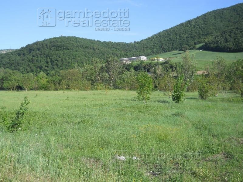 Foto 3 - Terreno edificabile Acqualagna - foto 3